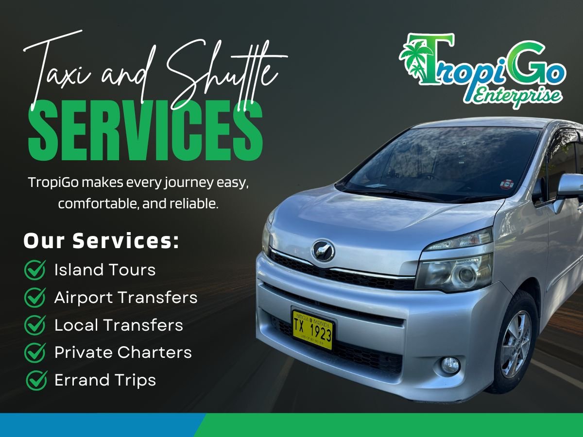 Original TropiGo Taxi and Shuttle Services graphic