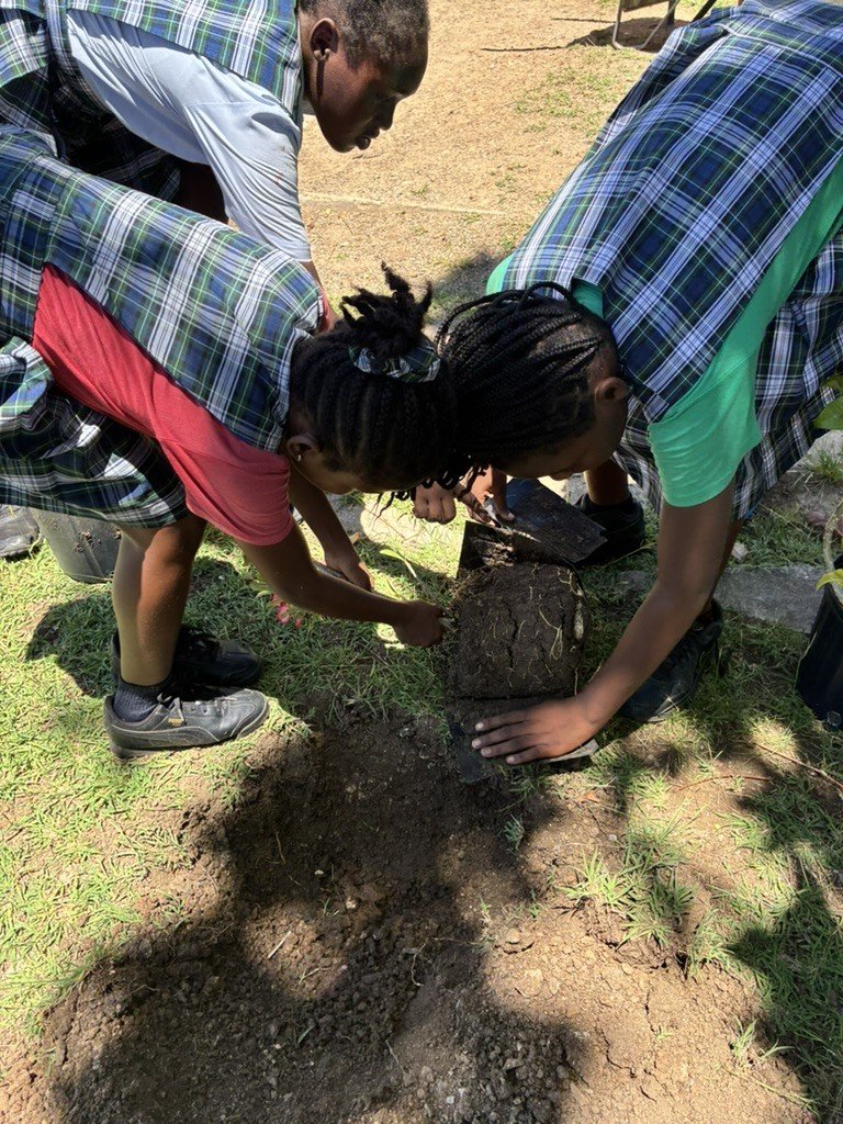 Students working together to plant in the school grounds.