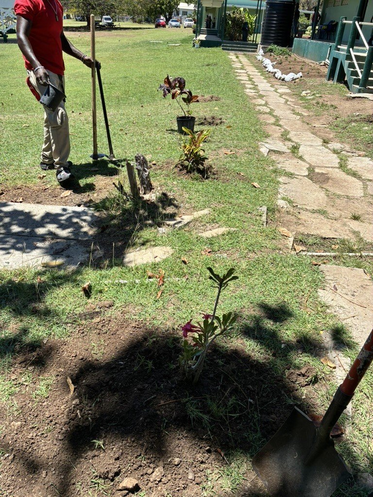 View of the planting area and school grounds.